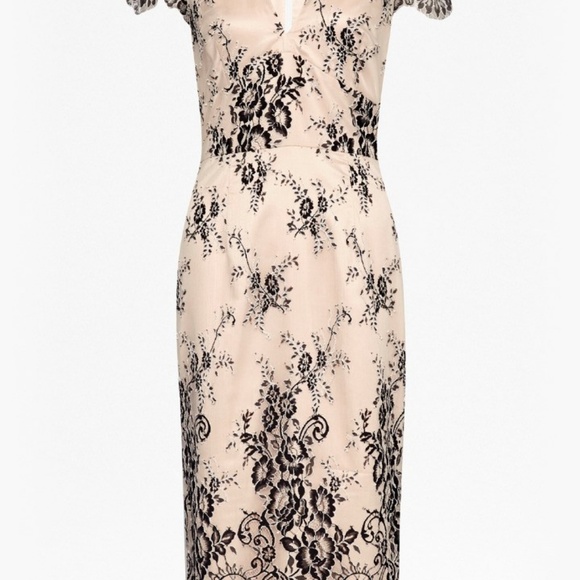French Connection Rosalie Lace Midi Dress - Picture 4 of 13